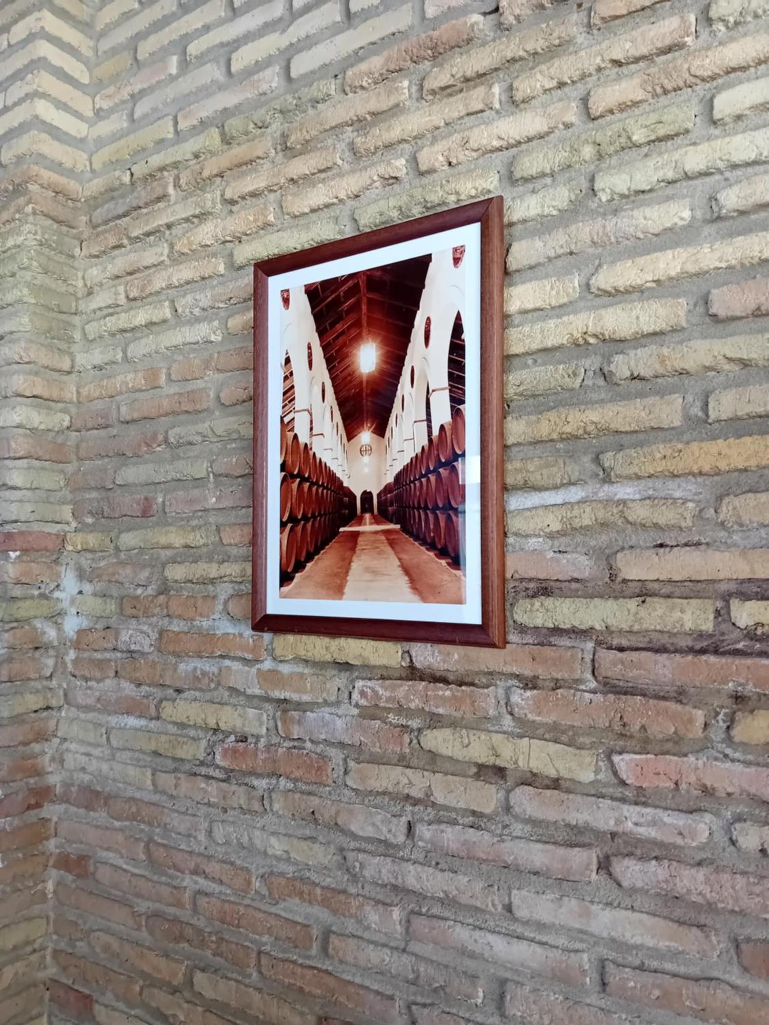 Casa Grande Zona Norte Jerez de la Frontera Zewnętrze zdjęcie